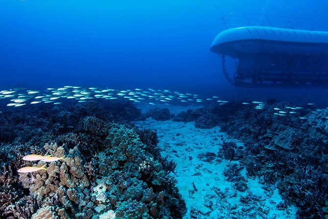 Big Island: Atlantis Submarine from Kona Beach - Who should book this (and who should skip it)