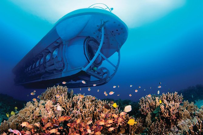 Big Island: Atlantis Submarine from Kona Beach - Price and value: what $160 buys you in Kona