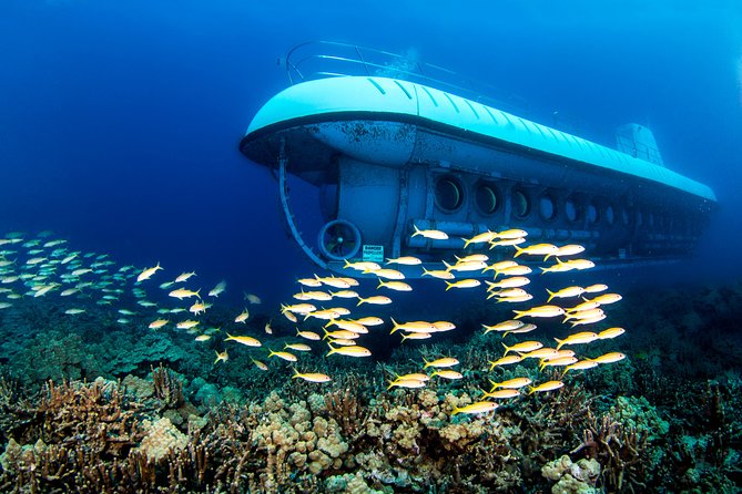 Big Island: Atlantis Submarine from Kona Beach - Entering the Atlantis 48 passenger submarine: comfort and the ladder rule