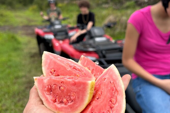 Big Island ATV Tour at Ohana Ranch - Key Points You Should Know Before You Go