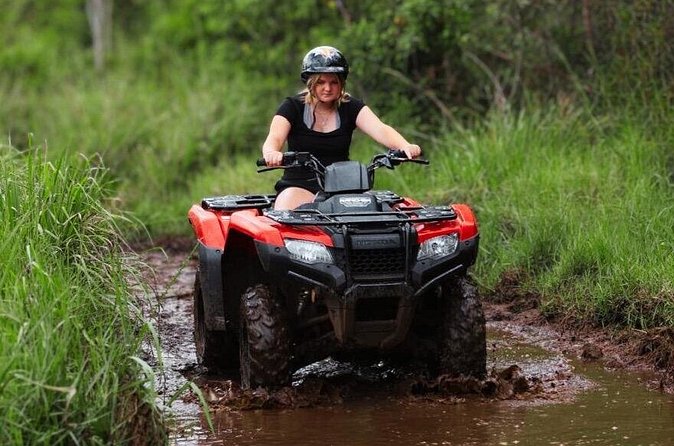 Big Island ATV Tour at Ohana Ranch - Taro, Guava, and Hawaiian Coffee: Learning That Actually Feels Practical