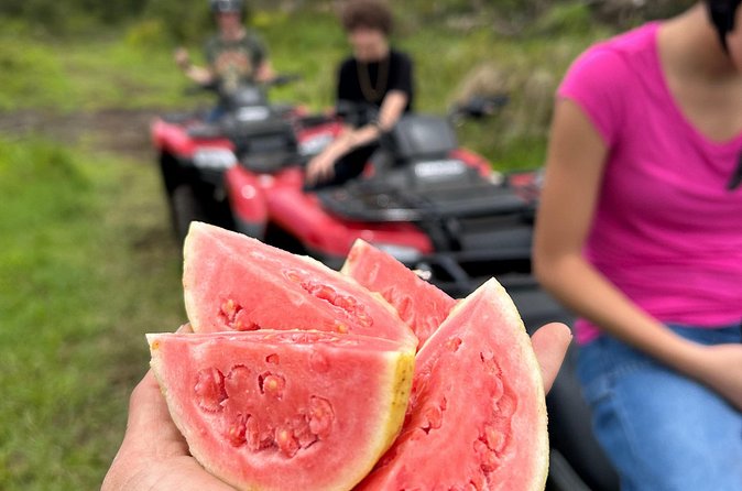 Big Island ATV Tour at Ohana Ranch - Culture Stops: Where the Tour Meets Hawaiian Traditions