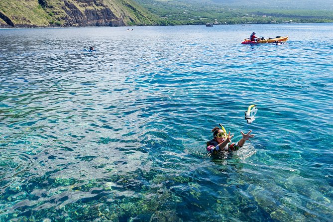 Big Island: Captain Cook Snorkel On A Power Catamaran With Lunch - The cruise along the volcanic Kona coast