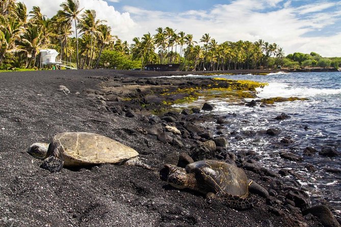 Big Island Highlights: Coffee, Volcano, Black Sands & Waterfall - Price and what your $299 covers on a full island day