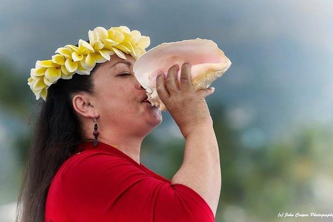 Big Island Historical Dinner Cruise to Kealakekua Bay - The Kealakekua Bay Cruise: 24 Miles Round Trip With Land-View Clues