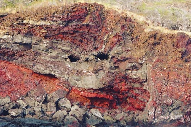 Big Island Historical Dinner Cruise to Kealakekua Bay - Who This Cruise Is Best For