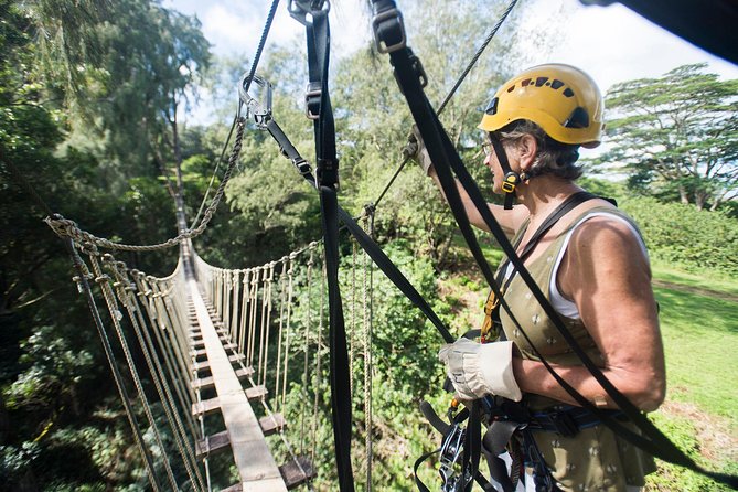 Big Island Kohala Canopy Zipline Adventure - Kohala Canopy: what you are flying over in northern Big Island