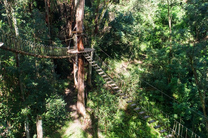 Big Island Kohala Canopy Zipline Adventure - What the guides do that makes the day feel safe