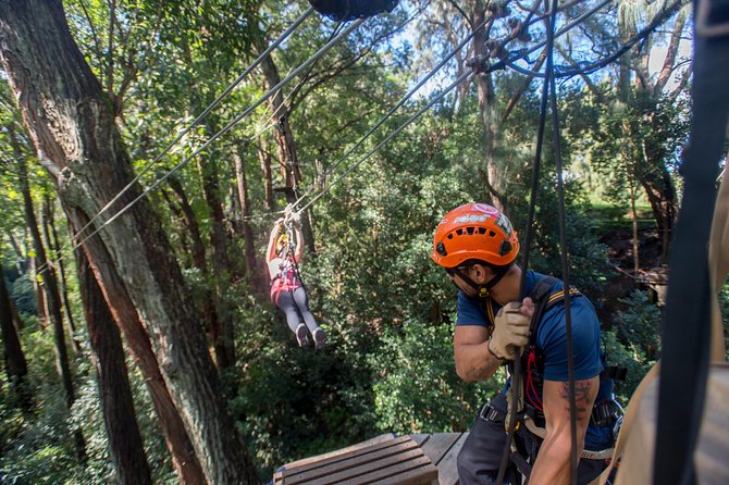 Big Island Kohala Canopy Zipline Adventure - Price and value: is $256.54 worth it?