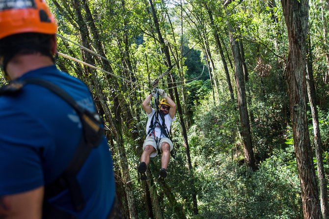 Big Island Kohala Canopy Zipline Adventure - Gear up at the Hawi meeting point, no hotel pickup