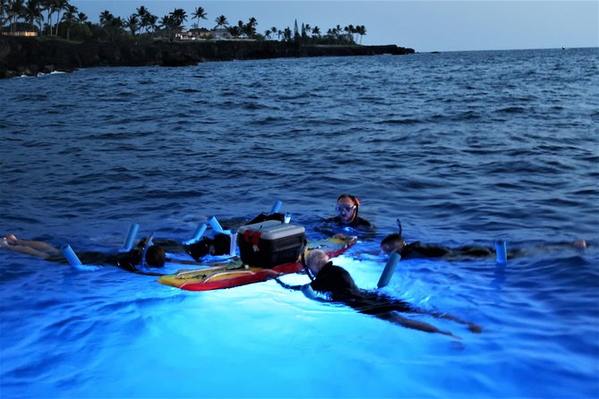 Big Island: Kona Manta Ray Snorkel Tour in Keauhou Harbor - Who This Tour Fits Best, and Who Should Rethink It