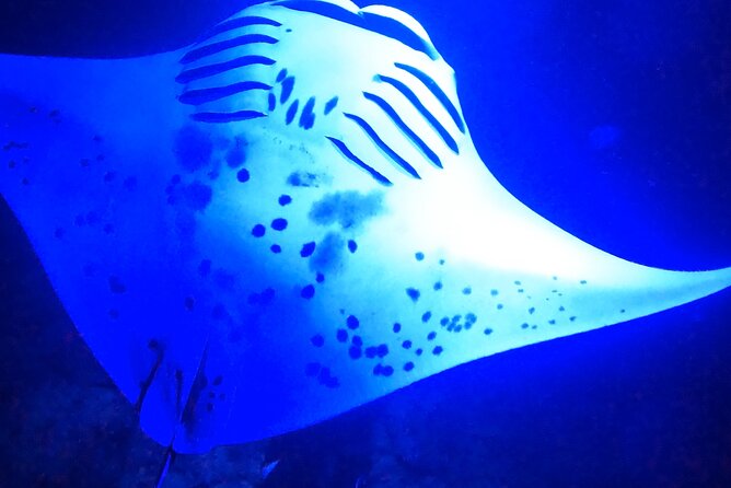 Big Island: Manta Ray Night Snorkeling Adventure in Kailua-Kona - Safety vibe: briefings, holding on, and staying relaxed