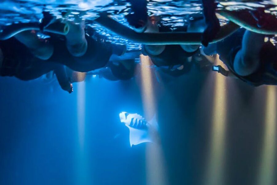 Big Island: Night Swim with Manta Ray with Hot Chocolate - The boat ride: short, scenic, and worth preparing for