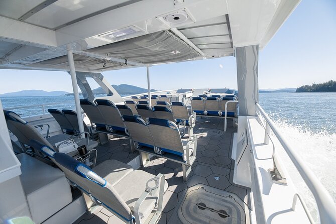 Big Island: Pelagic Whale Watch Tour - Nearshore Highlights: Humpbacks in Winter, Dolphins Year-Round