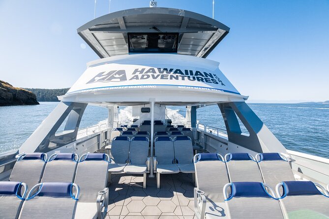 Big Island: Pelagic Whale Watch Tour - Honokohau Harbor: Nearshore Chances and Offshore Potential