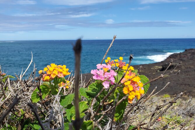 Big Island Southside ATV Tour - ATV Setup, Training, and the Safety Stuff That Actually Matters