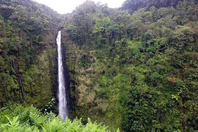 Big Island Volcano Adventure from Kona: Small Group - Small-group size: why max 6 feels different in real life