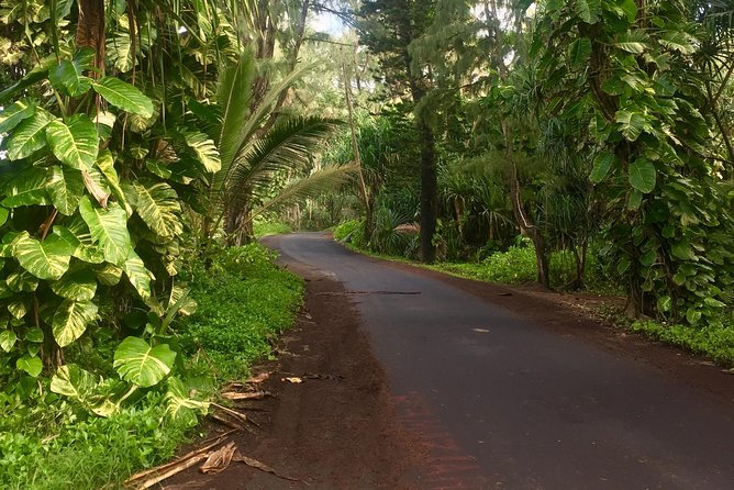 Big Island Volcano Adventure from Kona: Small Group - Akaka Falls and the Hilo drive: rainforest feels close and real