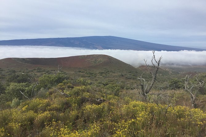 Big Island Volcano Adventure from Kona: Small Group - Guide Scott’s 3D map and how to get more out of the van
