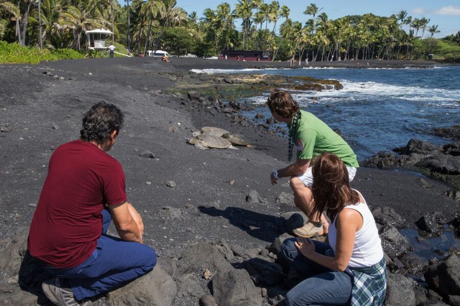 Big Island: Volcanoes, Waterfalls, & Coffee Farm Day-Trip - A first-look Big Island day, planned for real-life travel