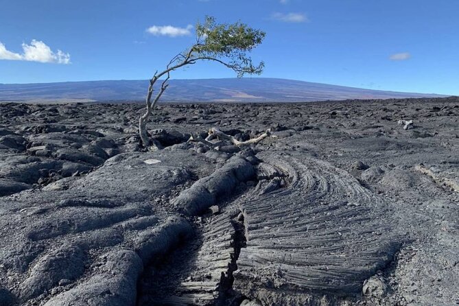 Big Island Waterfalls Tour with Swimming and Botanical Garden - Tex Drive-In malasadas: a quick local fuel stop