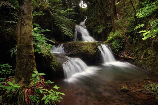 Big Island Waterfalls Tour with Swimming and Botanical Garden - Hawaii Tropical Botanical Garden, Onomea Bay: your best walking time of the day