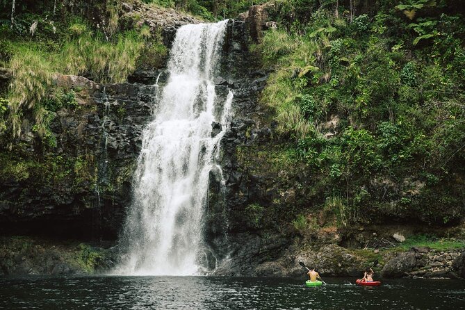 Big Island Waterfalls Tour with Swimming and Botanical Garden - Pickup, comfort, and why the van matters on a long day