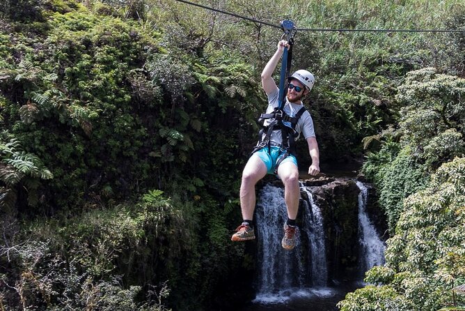 Big Island Zipline Tour Near Akaka Falls (250-ft Waterfall!) - Price and value: is $246 a smart use of your Big Island time?