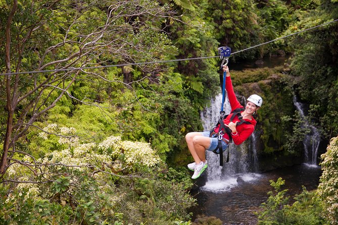 Big Island Zipline Tour Near Akaka Falls (250-ft Waterfall!) - Who this tour suits best, and who should skip it