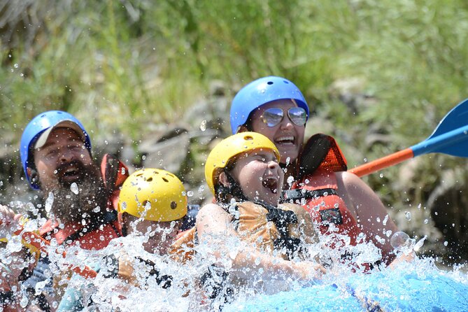 Bighorn Sheep Canyon Half-Day Rafting - Wildlife spotting in high desert country, bighorn sheep are the big prize