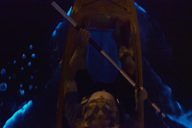 Bioluminescence Kayak Tour - The 2-hour night kayak flow, step by step