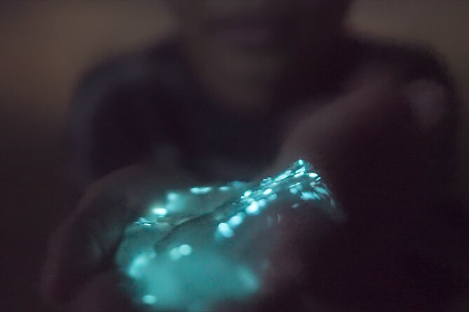 Bioluminescence Kayak Tour - Safety and comfort: PFDs, safety lights, and getting wet