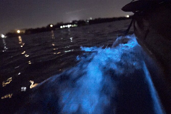 Bioluminescence Kayak Tour - Photos, cameras, and why your eyes matter more
