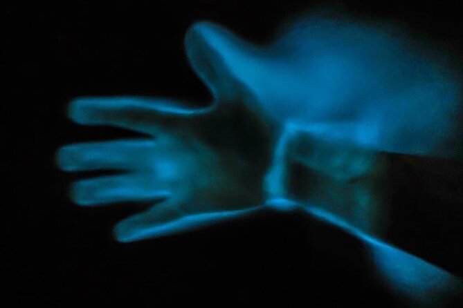 Bioluminescence Kayak Tour - Value check: what you are really paying for