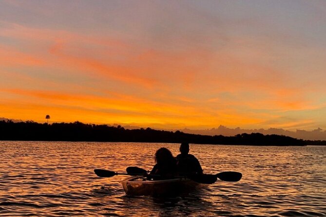 Bioluminescence Kayak Tour - Wildlife odds: dolphins, manatees, and the mullet jump