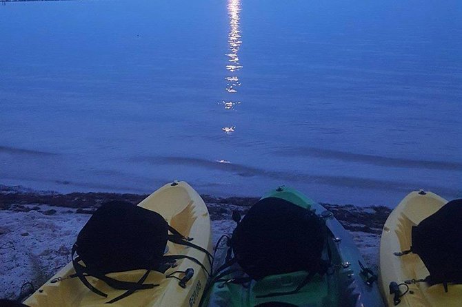 Bioluminescence Night Kayaking Tour of Merritt Island Wildlife Refuge - Bioluminescence on the Banana River: why this route works