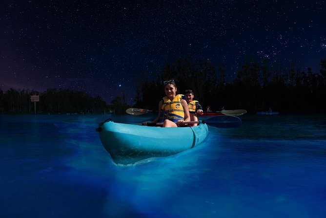 Bioluminescence Night Kayaking Tour of Merritt Island Wildlife Refuge - Guides and small-group kayaking: safety, pacing, and the human touch