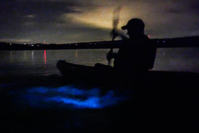 Bioluminescence Night Kayaking Tour of Merritt Island Wildlife Refuge - Comfort and fitness: what moderate physical means in practice