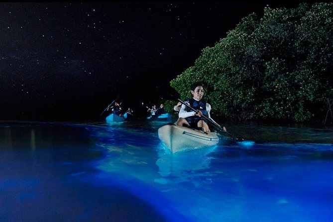 Bioluminescence Night Kayaking Tour of Merritt Island Wildlife Refuge - The 90-minute flow: what the itinerary feels like on the water