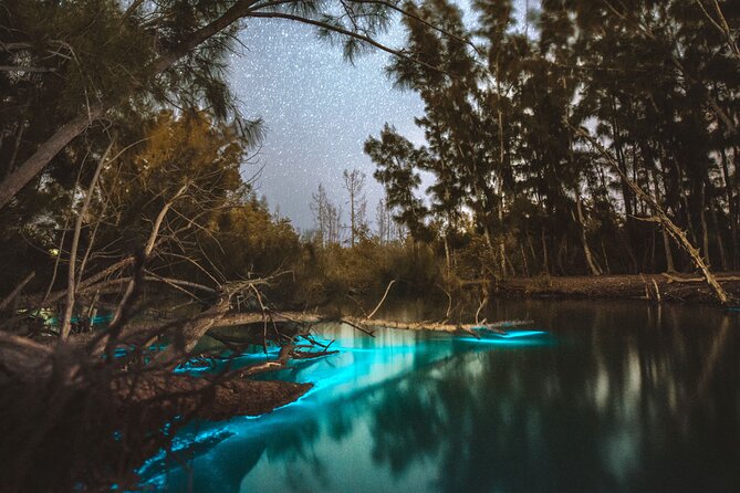 Bioluminescent Clear Kayak Tours in Titusville - Quick Take: What Makes This Night Kayak Special