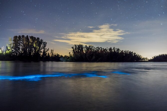 Bioluminescent Clear Kayak Tours in Titusville - Clear Kayaks and the Fast Lesson: Getting Comfortable Quickly