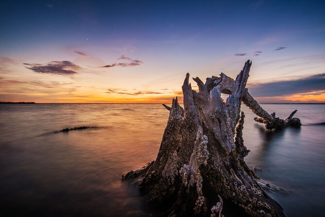 Bioluminescent Clear Kayak Tours in Titusville - Merritt Island National Wildlife Refuge at Night: Why This Stop Works
