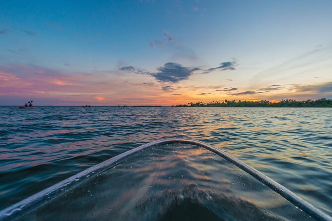 Bioluminescent Clear Kayak Tours in Titusville - Practical Logistics You Should Plan Around