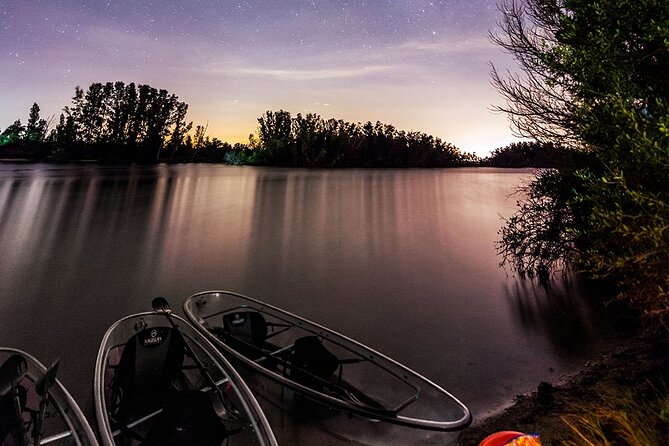 Bioluminescent Clear Kayak Tours in Titusville - What You See on the Water: Bioluminescence, Fish, and Night Creatures