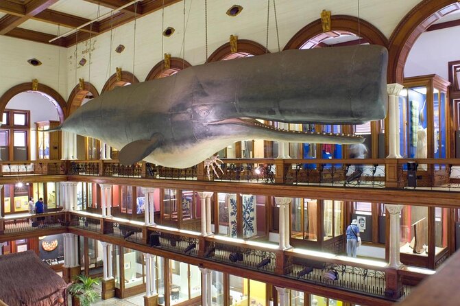 Bishop Museum General Admission Ticket - Key highlights to plan around