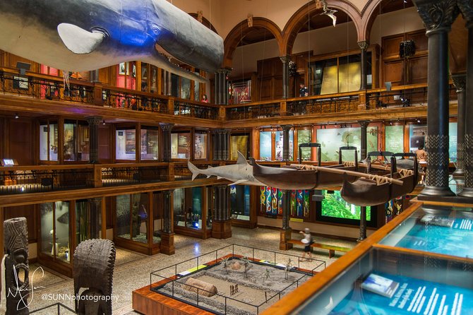 Bishop Museum General Admission Ticket - Castle Memorial Building: when it is worth your time