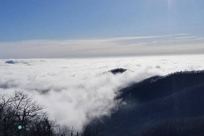 Blue Ridge Parkway Waterfalls Hiking Tour from Asheville - Stop 2: Pisgah Forest waterfalls with guided stories along the drive