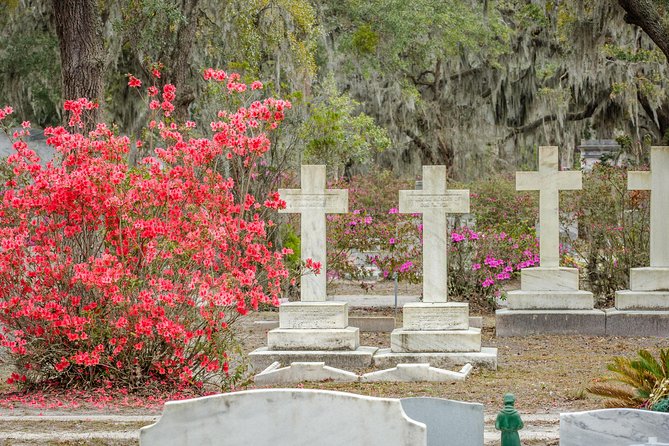 Bonaventure Cemetery & Wormsloe State Historic Site Tour - Wormsloe State Historic Site: The Mile-Long Oak Avenue and Tabby Ruins