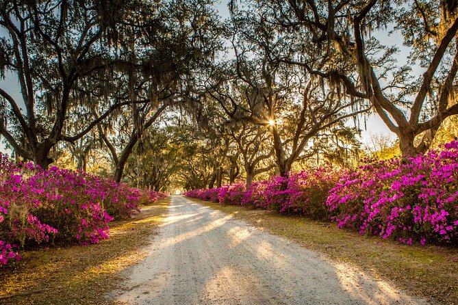 Bonaventure Cemetery & Wormsloe State Historic Site Tour - Who Should Book This Savannah Day Tour, and Who Might Skip It