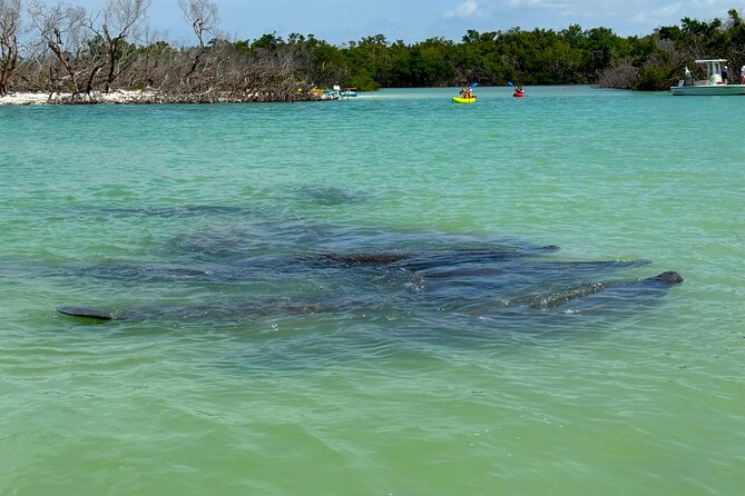 Bonita Springs Eco Kayak Tour – Best Gear, Premium&Clear Kayaks - Gear Extras That Add Real Comfort (Not Just Marketing)